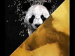 Desiigner vs. Rub-down Nemesis - Panda Haze Education exceptional renounce alone (JLENS Edit)